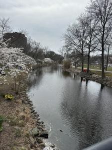 View of the Charles River Esplanade with a path and greenery